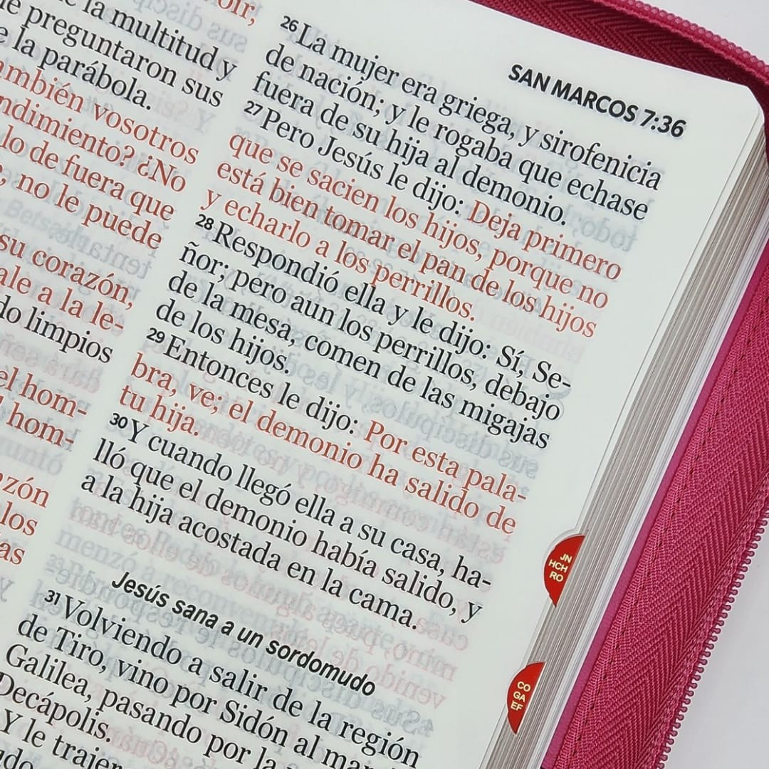 CLC Chile | BIBLIA RVR1960 LETRA SÚPER GIGANTE CON CIERRE E ÍNDICE