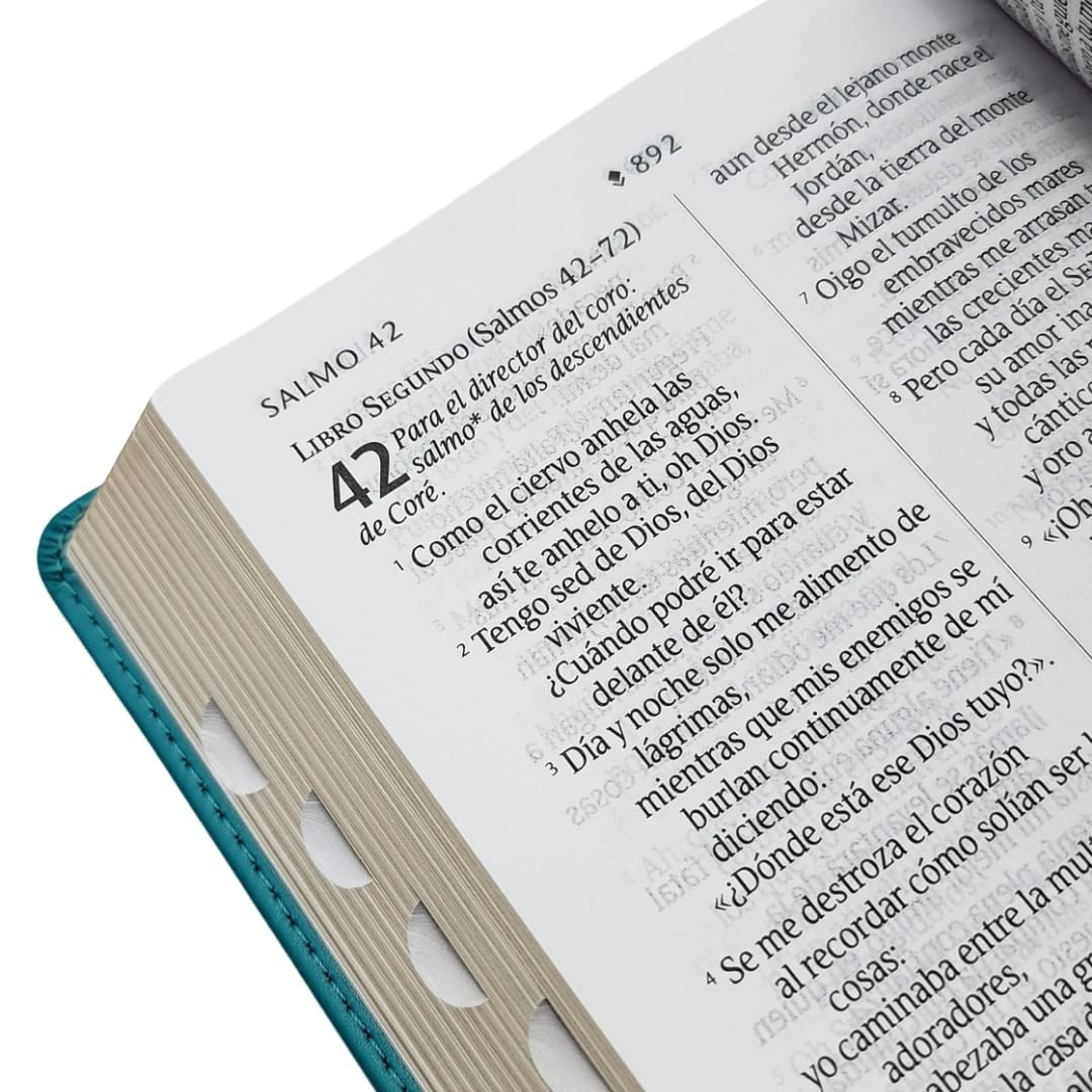 CLC Chile | BIBLIA NTV COMPACTA LETRA GIGANTE CON ÍNDICE (TAPA