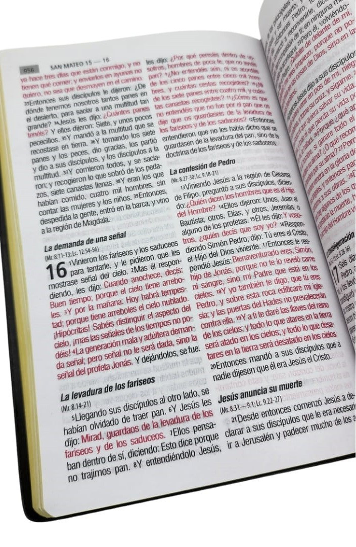 CLC Chile | BIBLIA RVR1960 LETRA GRANDE TAMAÑO MANUAL