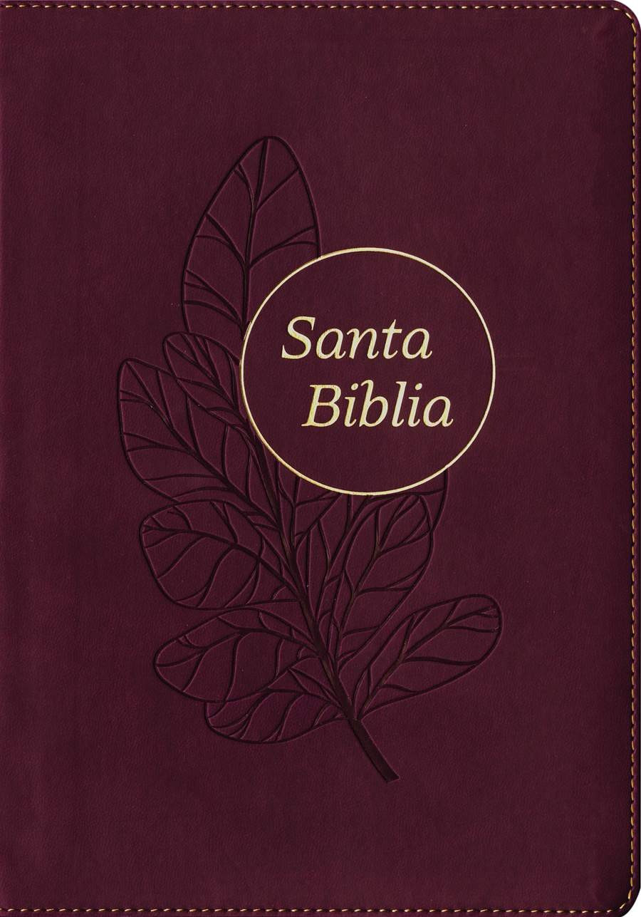 CLC Chile | BIBLIA RVR1960 EDICIÓN REFERENCIAS ULTRAFINA LETRA GRANDE