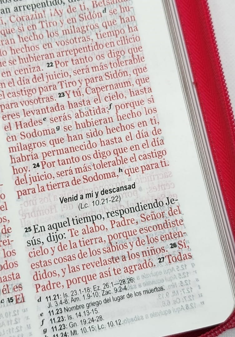 CLC Chile | BIBLIA RVR1960 TAMAÑO MANUAL LETRA GRANDE CON CIERRE